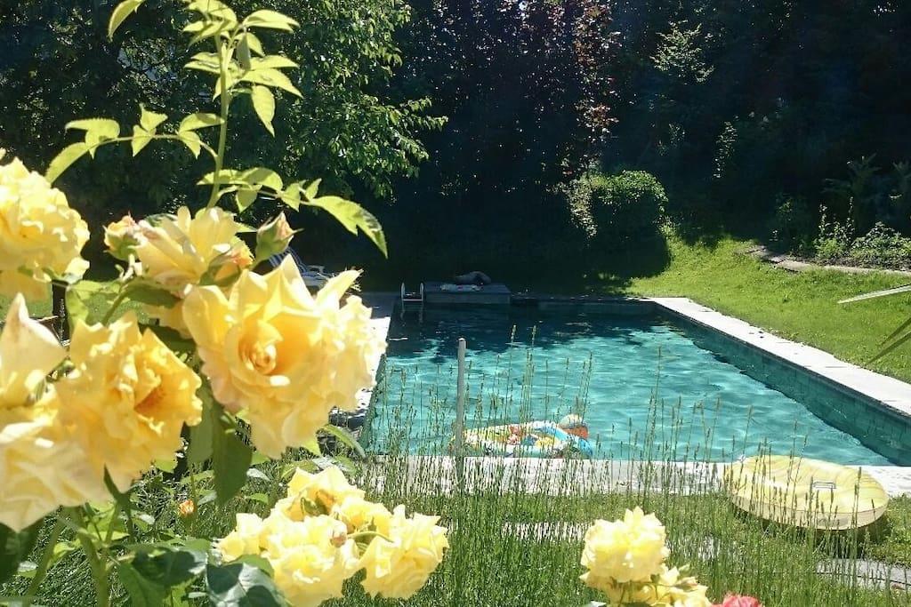 Nice Apartment In Horgen Near Lake And Pool Exterior foto